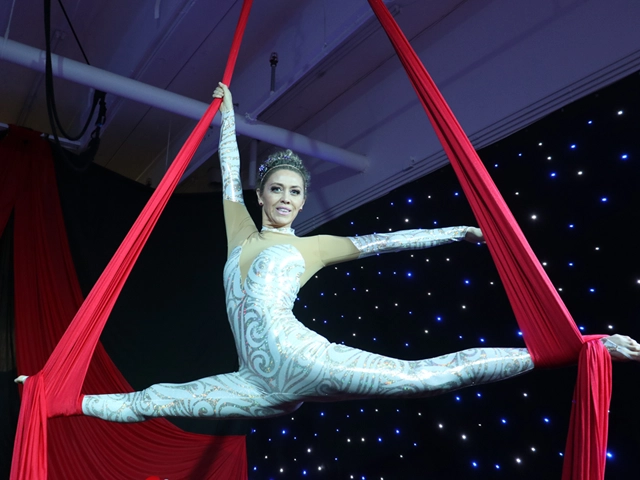 Circus aerial silks performance, StepFlix Entertainment, Miami, FL.