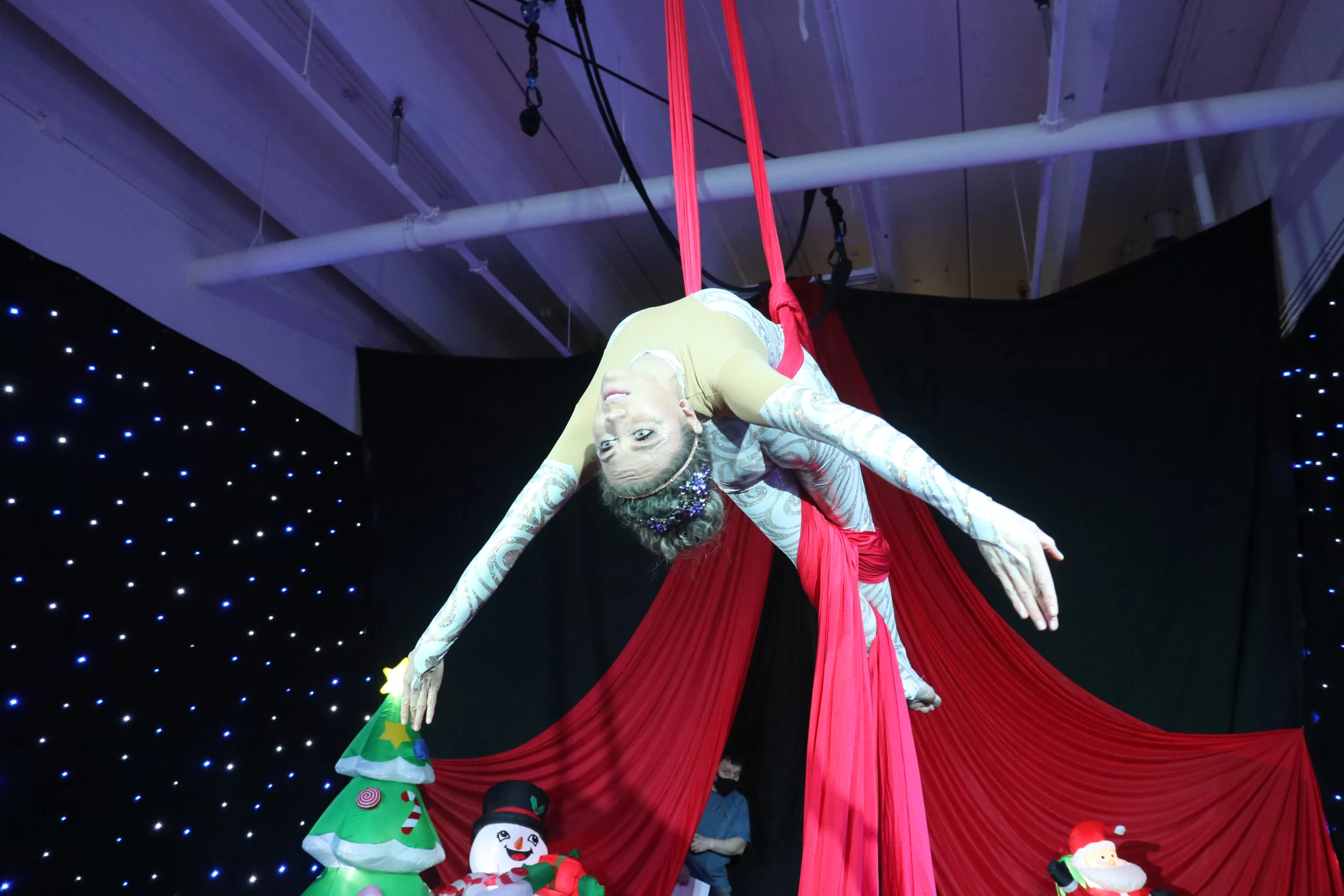 Aerialists Entertainment