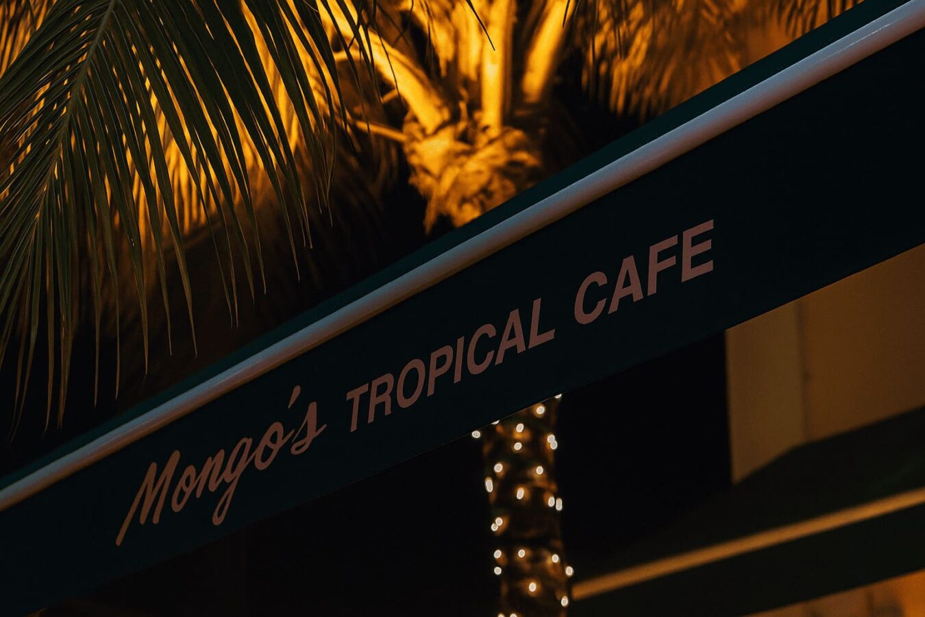 oldo verde oscuro con el nombre Mongo’s Tropical Café iluminado por luces cálidas, palmeras decoradas con luces y ambiente tropical nocturno.